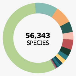 56,343 Species - Species