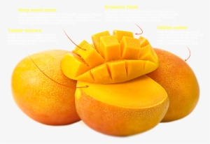 Alphonso Mangoes