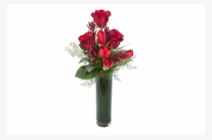 Shop - Garden Roses