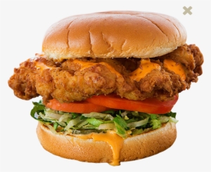 Chicken Sandwich Photo - Golden Fried Chicken Sandwich Habit