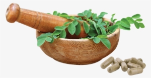 Moringaleaf - Moringa Oleifera Leaf Png