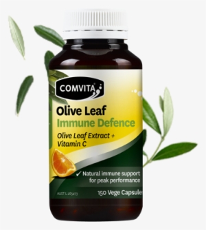 Olive Leaf Immune Defence Capsules - Comvita Olive Leaf Extract Capsules Medi Olive 66