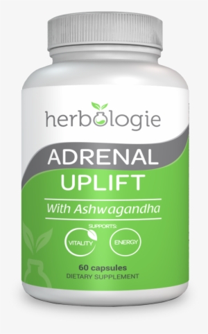 Adrenal Support Complete 60 Capsule - Bruizex