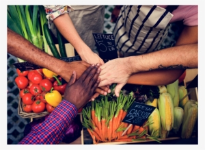 Living Vegan In The Midwest - Community