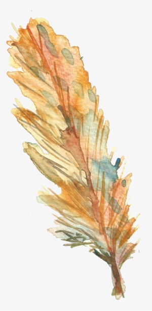 Bird Feather Drawing - Feather