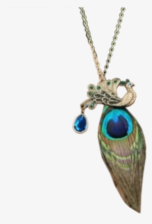 Vintage Peacock Feather Necklace