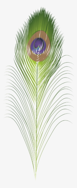 Download Png - Drawing