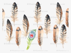 Feather And Peacock - Close At Heart Plaque Standing