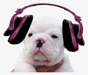 Thursday, 19 May - My Music Icon