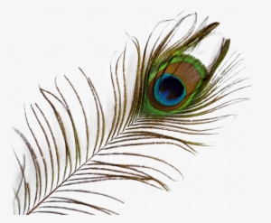 Single Peacock Feathers With Flute Png Download - Peacock Feather Png