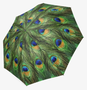 Skinit Peacock Vinyl Skin For Ipod Touch (2nd &