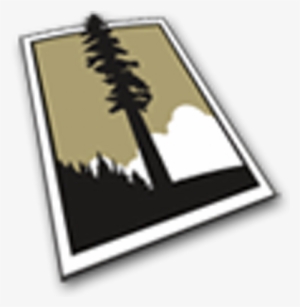 Redwood Capital Bank - Graphic Design