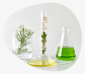 Sustainability In Cosmetics - Science