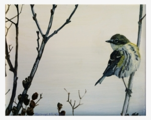 "spring Migration" By Thomas Merriam Harvest Gold Gallery - Old World Flycatcher
