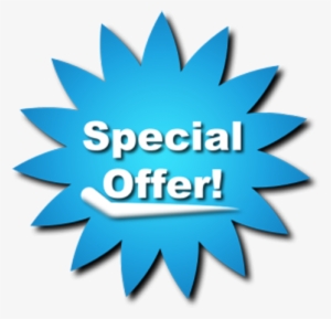 Best Seo Services India - Special Offer Logo Blue