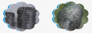 Fencing Barbed Wire Gi Manufacturers - Thread