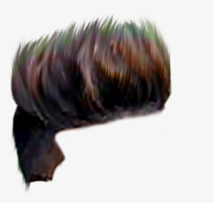 Ipl Fans Editing Cricket Photo Editing - Paragliding