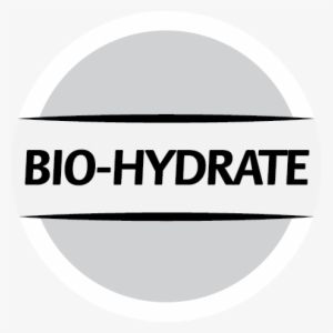 Arkansas State University