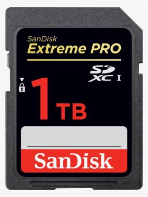 Sandisk 1tb Sdxc Card Prototype Unveiled At Photokina
