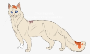 Sig Fogg - Cat Yawns