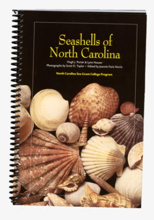 Seashells Book2 Beach Bound - Seashells Of North Carolina