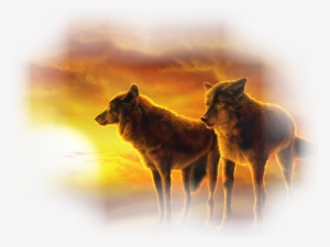 Wolves At Sunset
