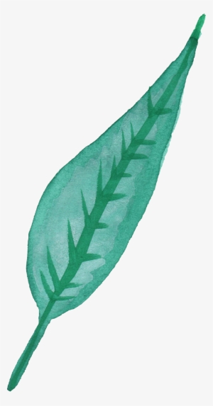 Free Download - Watercolor Of A Leaf Transparent