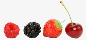 Free Png Food Fruits Png Images Transparent - Berries In A Line