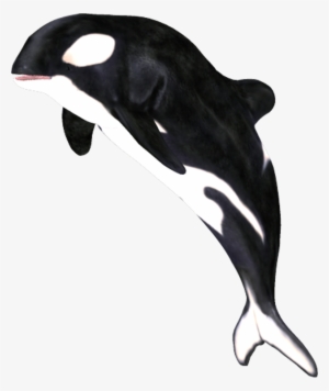 By Clipartcotttage On Deviantart - Whale Png