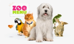 Online Shop For Pets - Pet Shop Animais Png