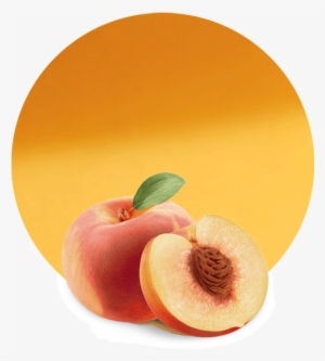 Peach Puree Concentrate - 1 Dram Lorann - Peach Flavour