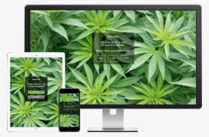 We Recommend Installing The 'basic' Free Version Of - Weed Plant