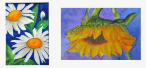 Sunflower Sold - Craft