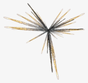 Hacking Meteor Applications - Portable Network Graphics