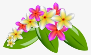 Flowers & Trees,nature - Hawaiian Flower Vector Png