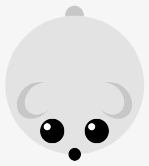 Polar Bear