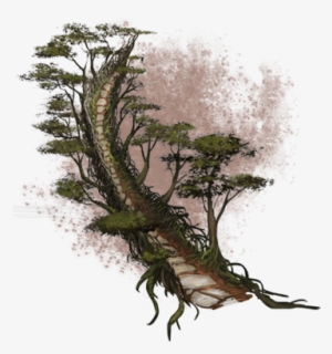 Bosmer Tree Bridge Concept Art - Tree Concept Art Png