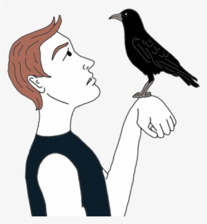 Crows - Dream