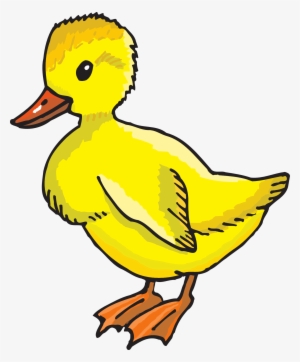 Drawn Duckling Yellow Duck - Baby Ducks Clip Art