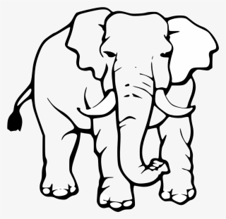 Colouring Elephant - Asian Elephant Black And White
