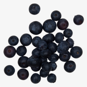 Blueberries - Smoothie