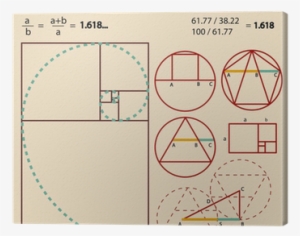 Golden Ratio, Golden Proportion Canvas Print • Pixers® - Golden Ratio
