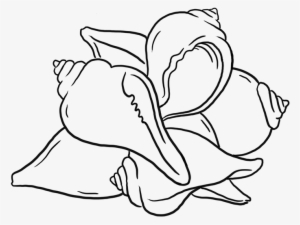 Image Freeuse Download Patterns Of Transformation Designing - Design