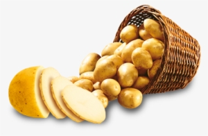 Sliced Potato Png Photo - Portable Network Graphics