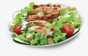 Picture Royalty Free Stock Png For Free Download On - Salad