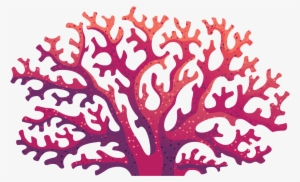 Coral - Under The Sea Coral Clipart