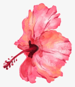 Flowersm - Portable Network Graphics