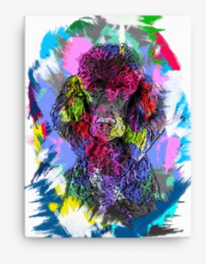 Poodle Artistic Photo Art Canvas - Art