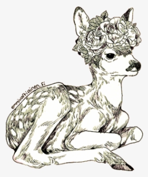 I Never Learn - Animals With Flower Crowns Drawing