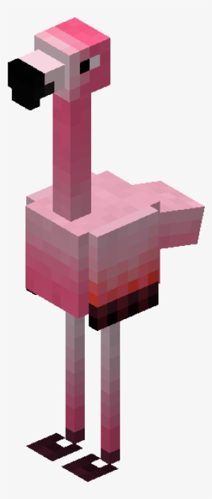 Flamingo - Wiki